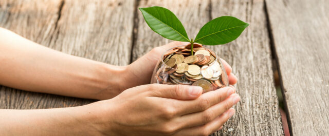 Lemonaid: soziales Unternehmertum vs. verdeckte Gewinnausschüttung